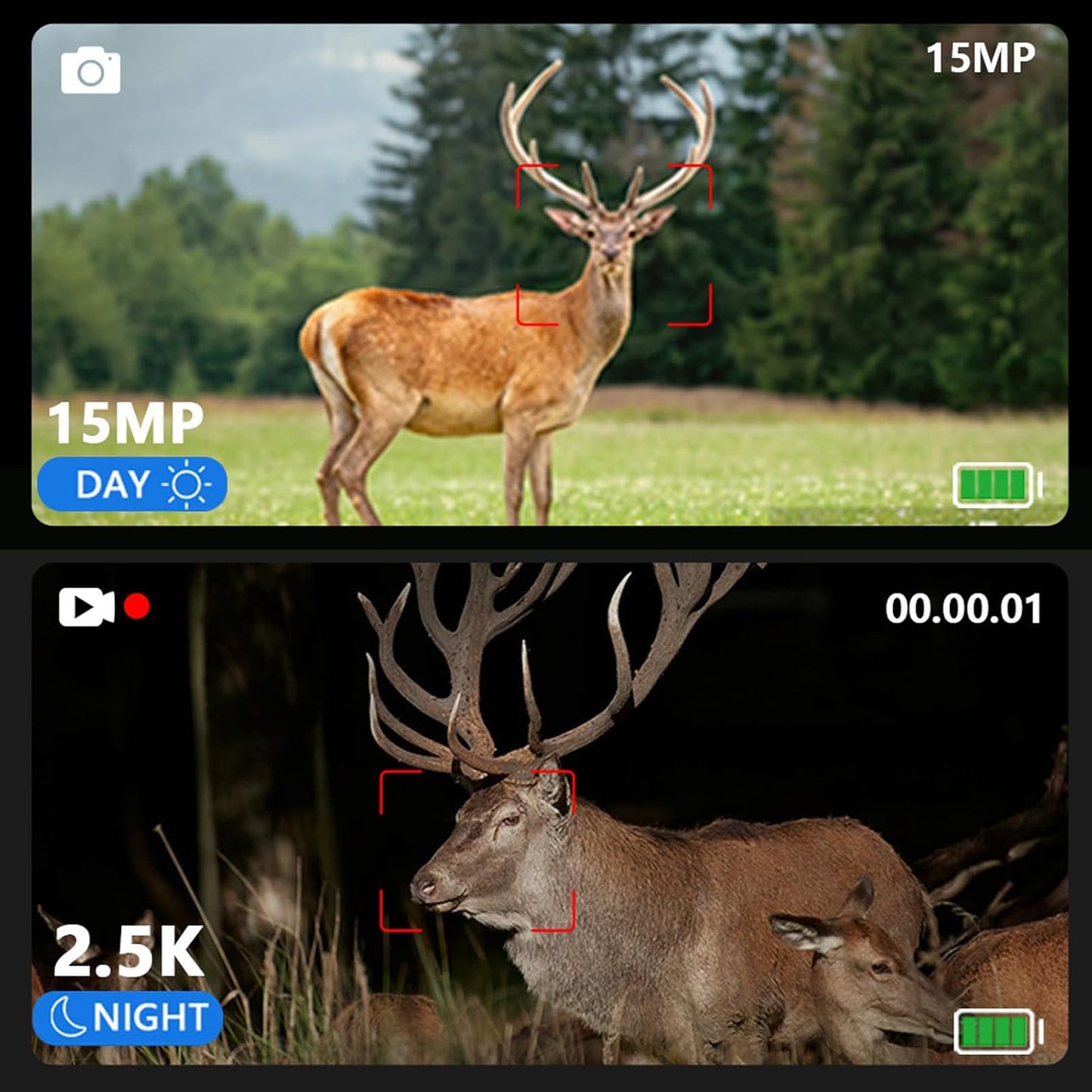 🔭 2.5K Digital Binoculars – 8X Zoom + 15-Hour Battery!